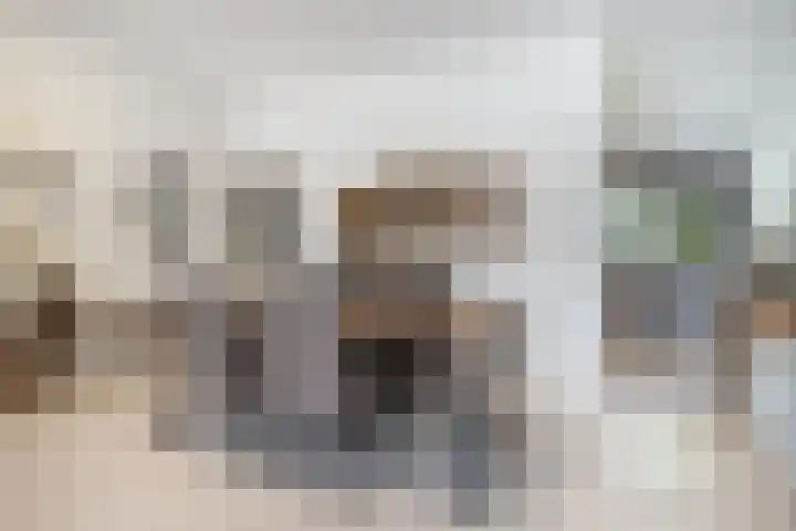 Wommelgemhof 16 Breda thumbnail 14