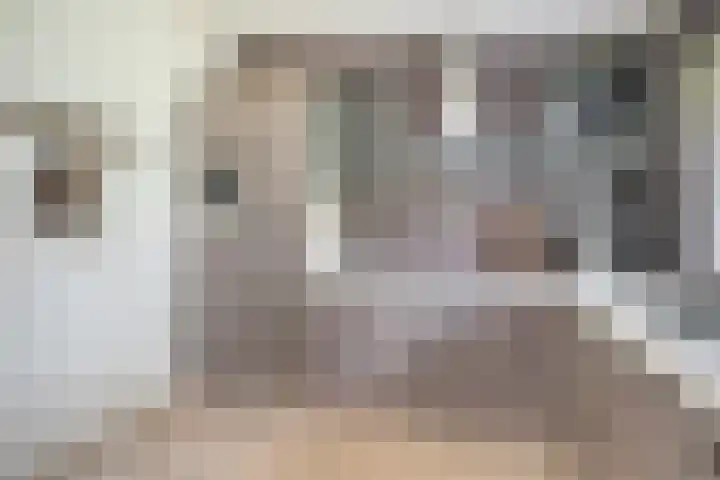 Wommelgemhof 16 Breda thumbnail 17