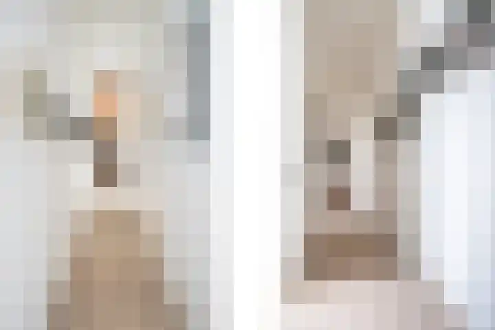 Wommelgemhof 16 Breda thumbnail 18