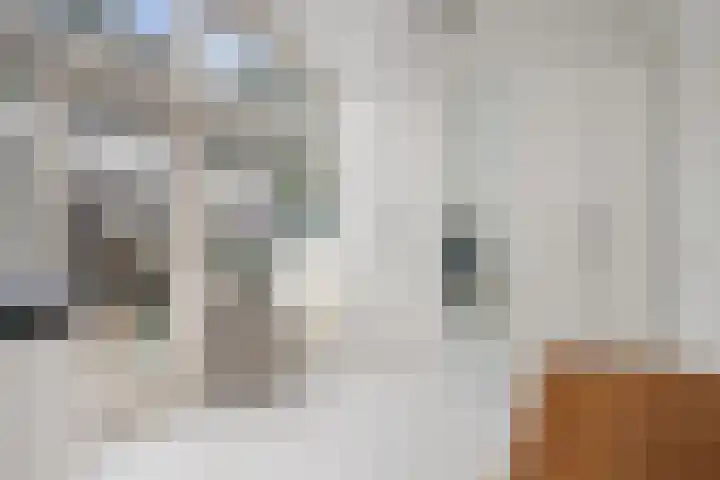 Wommelgemhof 16 Breda thumbnail 22