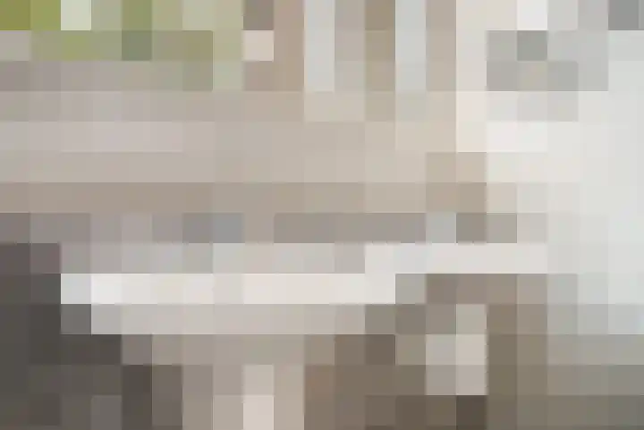 Wommelgemhof 16 Breda thumbnail 25