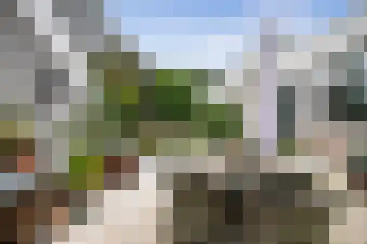 Wommelgemhof 16 Breda thumbnail 30