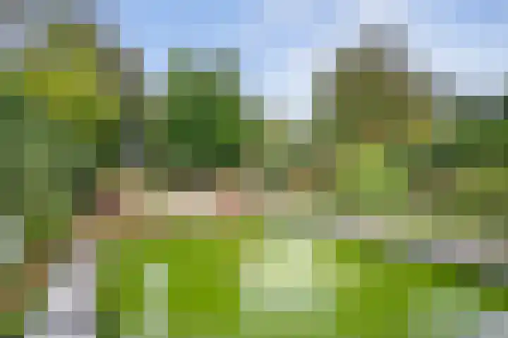 Wommelgemhof 16 Breda thumbnail 31