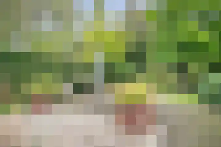 Wommelgemhof 16 Breda thumbnail 32