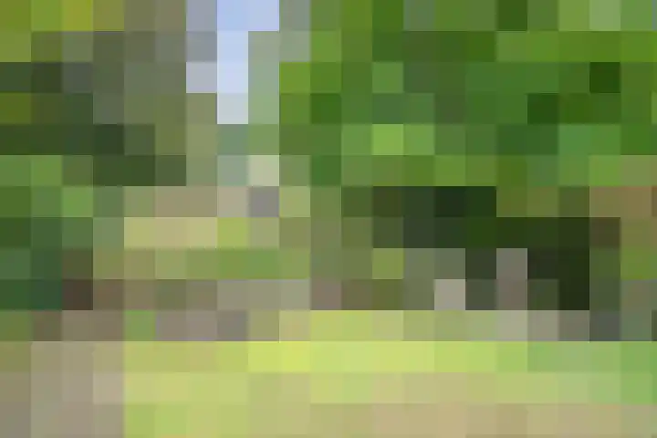 Wommelgemhof 16 Breda thumbnail 33