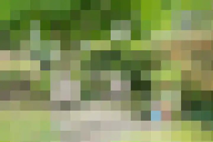 Wommelgemhof 16 Breda thumbnail 34
