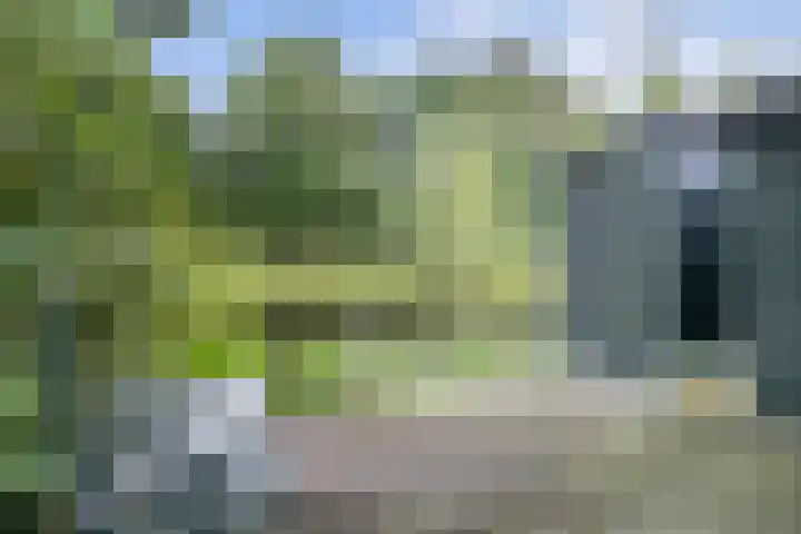 Wommelgemhof 16 Breda thumbnail 37