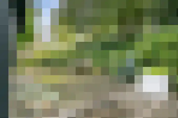 Wommelgemhof 16 Breda thumbnail 38