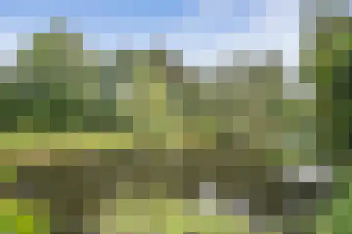 Wommelgemhof 16 Breda thumbnail 39