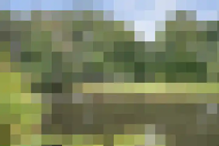Wommelgemhof 16 Breda thumbnail 40
