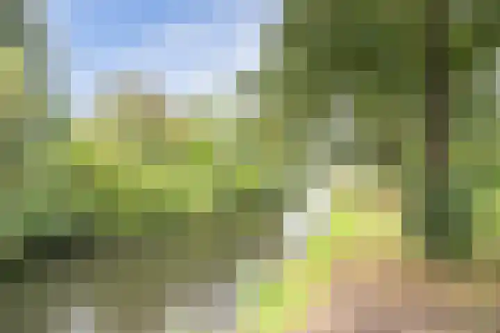 Wommelgemhof 16 Breda thumbnail 41