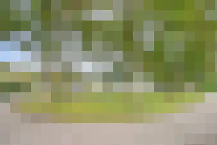 Wommelgemhof 16 Breda thumbnail 43