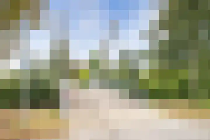 Wommelgemhof 16 Breda thumbnail 44