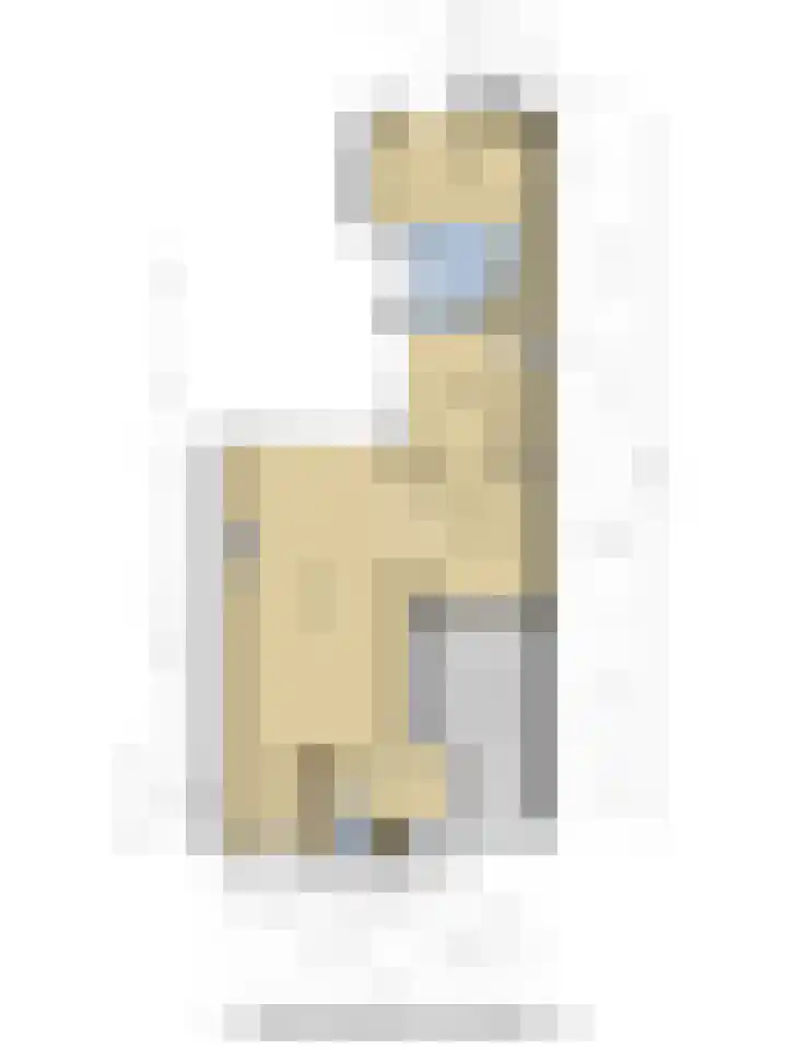Wommelgemhof 16 Breda thumbnail 46