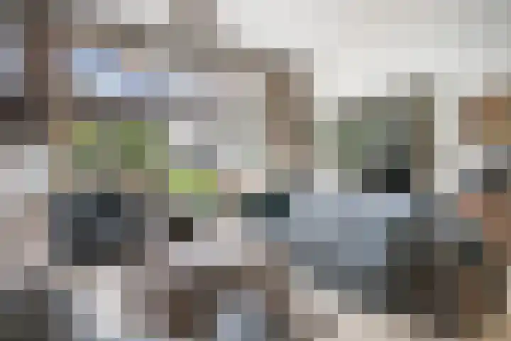 Wommelgemhof 16 Breda thumbnail 5