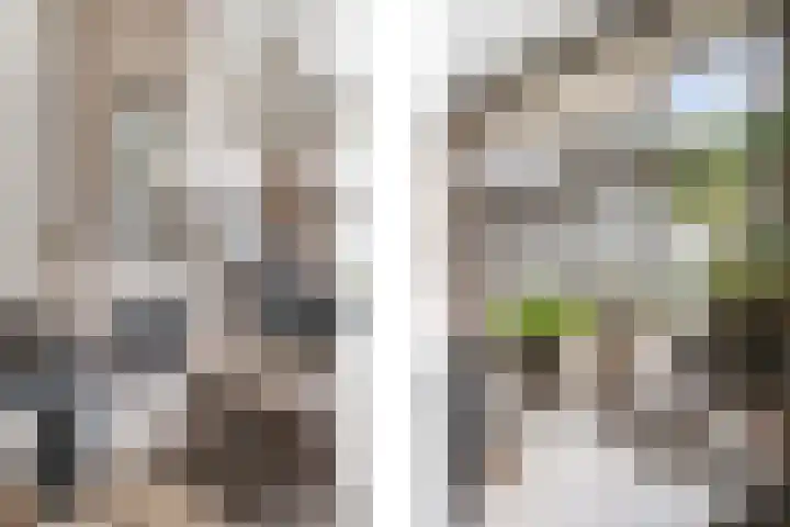 Wommelgemhof 16 Breda thumbnail 6