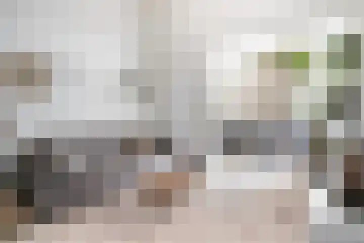 Wommelgemhof 16 Breda thumbnail 9