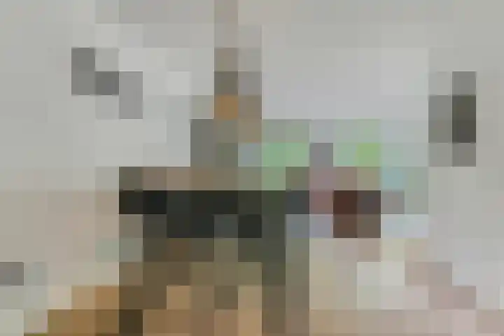 Wommelgemhof 3 Breda thumbnail 12