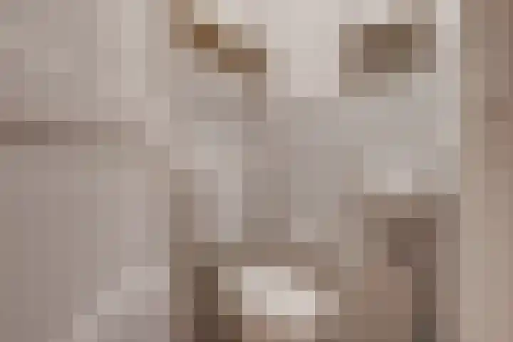 Wommelgemhof 3 Breda thumbnail 16