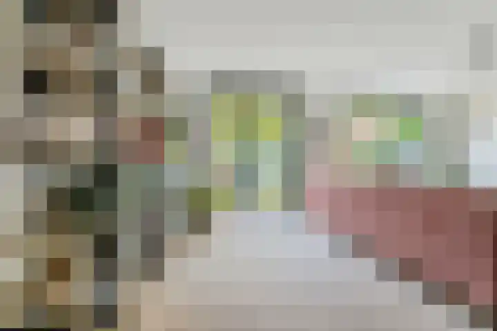 Wommelgemhof 3 Breda thumbnail 17