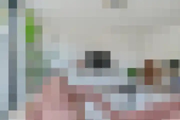 Wommelgemhof 3 Breda thumbnail 18