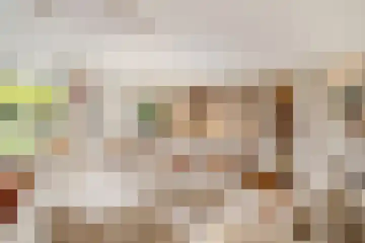 Wommelgemhof 3 Breda thumbnail 19