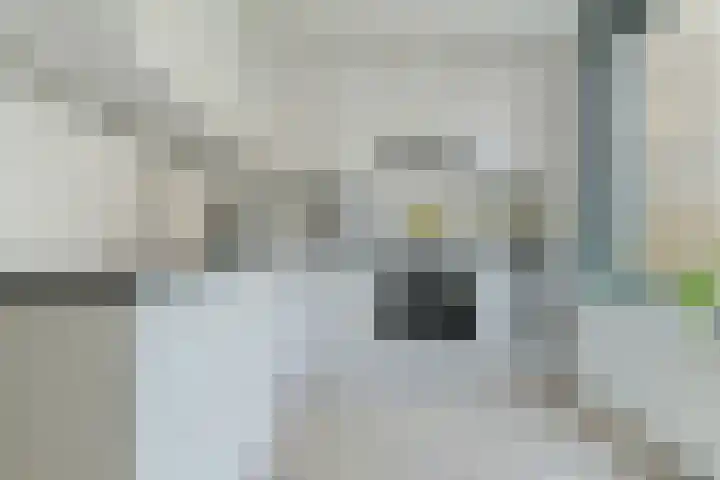 Wommelgemhof 3 Breda thumbnail 21
