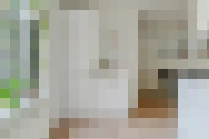 Wommelgemhof 3 Breda thumbnail 22