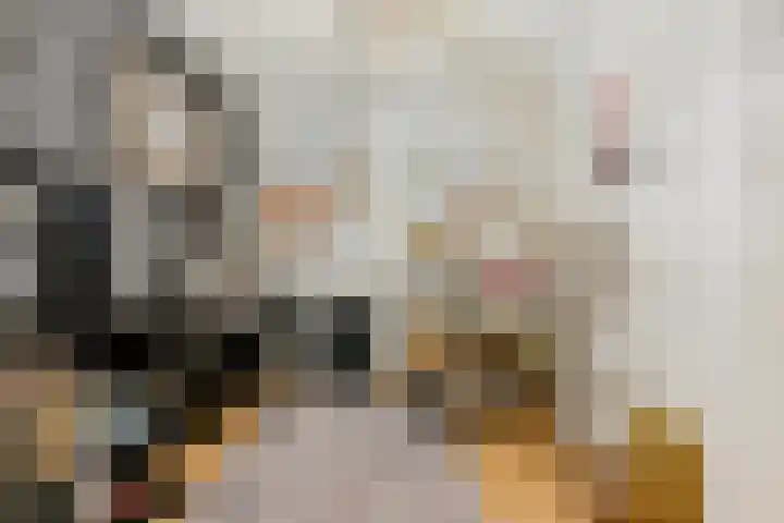 Wommelgemhof 3 Breda thumbnail 23