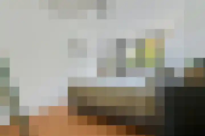 Wommelgemhof 3 Breda thumbnail 28