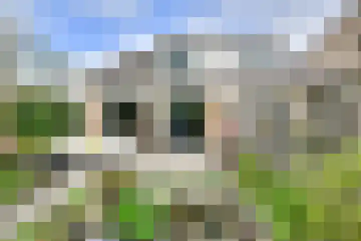 Wommelgemhof 3 Breda thumbnail 38