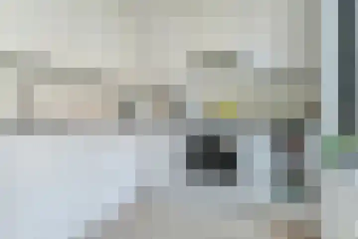 Wommelgemhof 3 Breda thumbnail 4