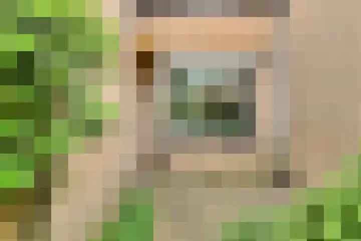 Wommelgemhof 3 Breda thumbnail 46