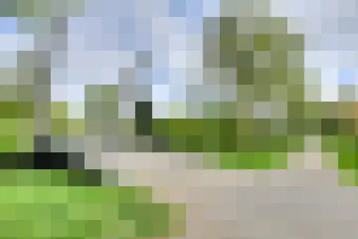 Wommelgemhof 3 Breda thumbnail 48