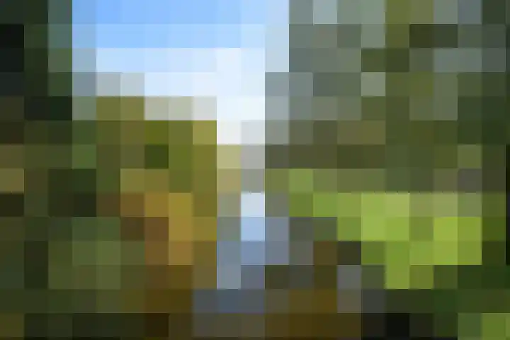 Wommelgemhof 3 Breda thumbnail 50