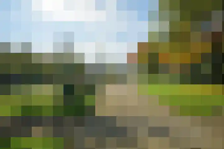 Wommelgemhof 3 Breda thumbnail 51
