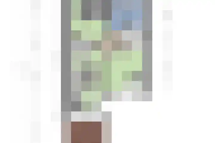 Wommelgemhof 3 Breda thumbnail 54
