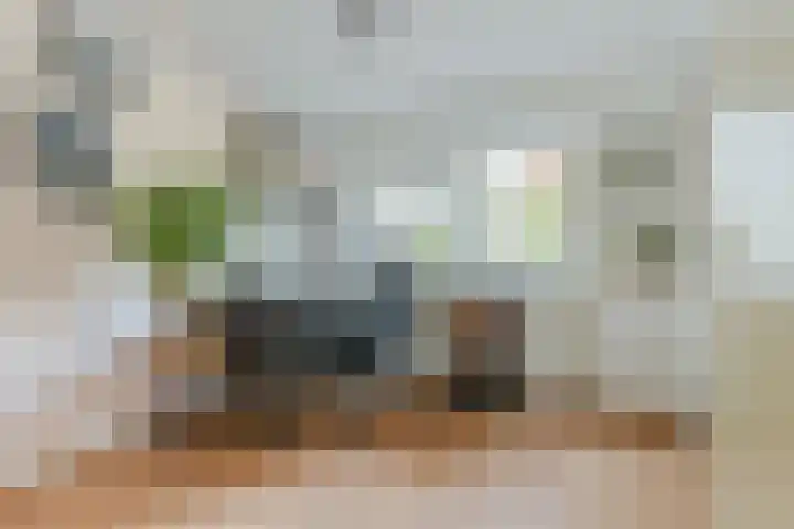 Wommelgemhof 3 Breda thumbnail 6