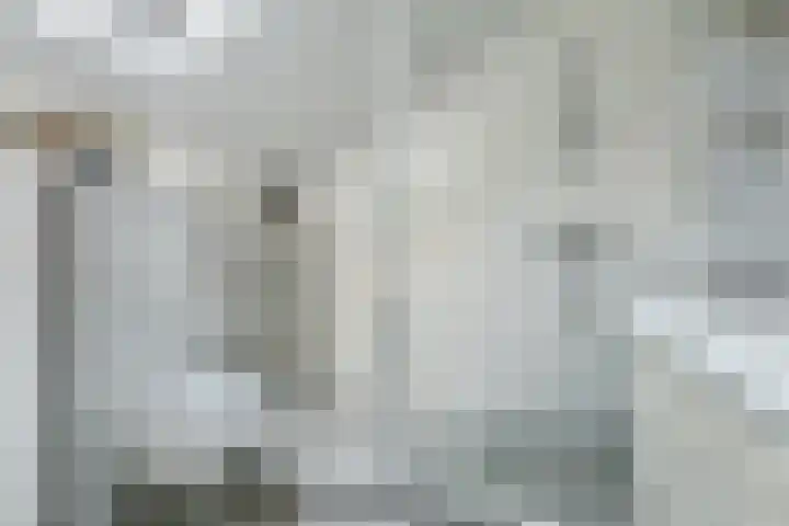 Wommelgemhof 3 Breda thumbnail 7
