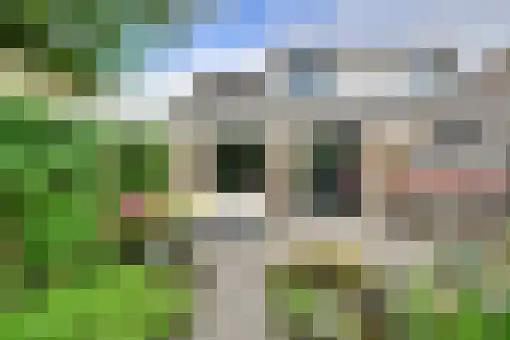 Wommelgemhof 3 Breda thumbnail 8