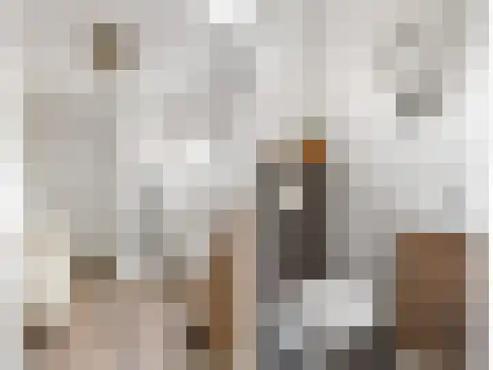 Wommelserweg 5 Tzum thumbnail 16