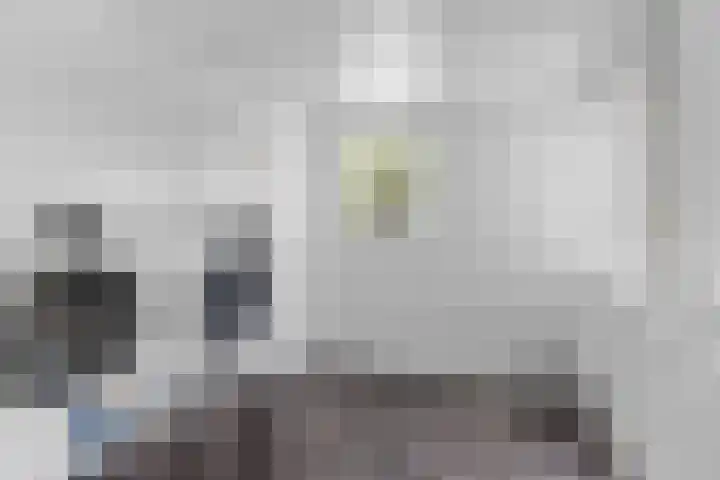 Wommelserweg 5 Tzum thumbnail 29