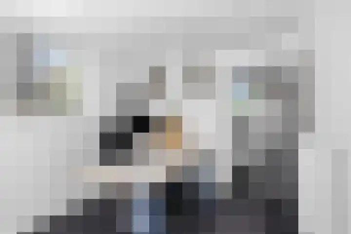 Wommelserweg 5 Tzum thumbnail 33