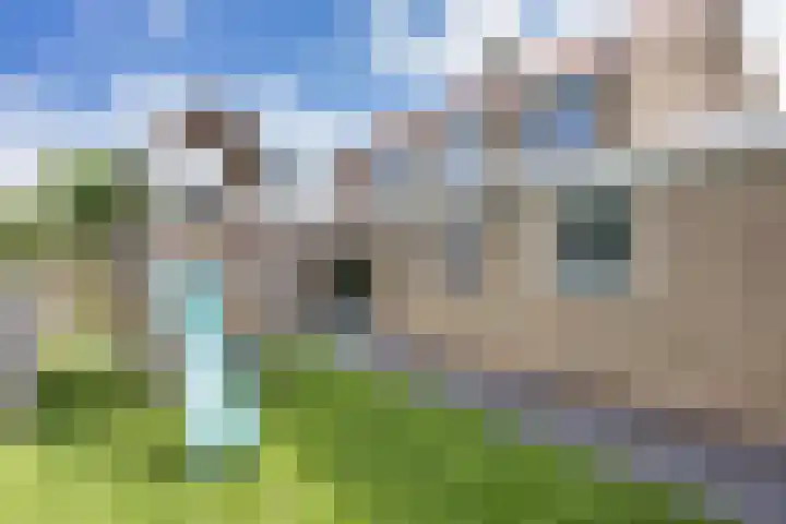 Wommelserweg 5 Tzum thumbnail 36