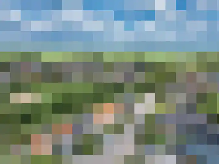 Wommelserweg 5 Tzum thumbnail 46