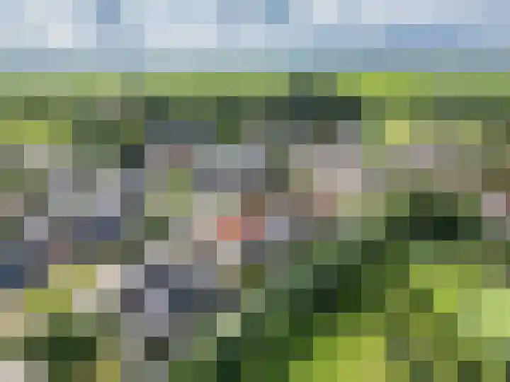 Wommelserweg 5 Tzum thumbnail 47