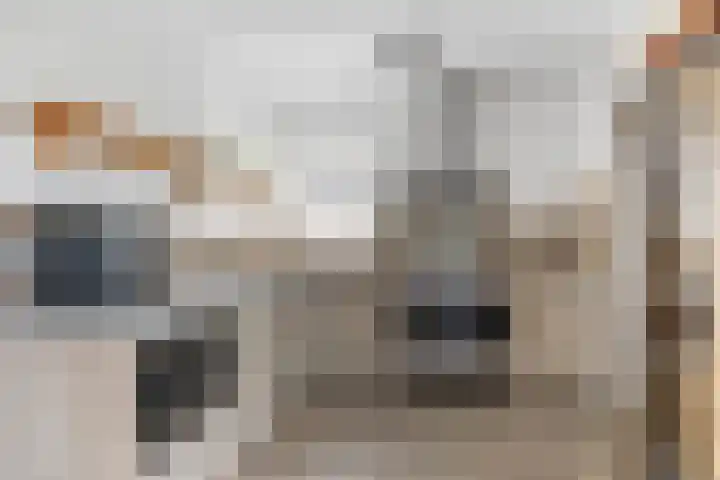 Wommelserweg 5 Tzum thumbnail 9