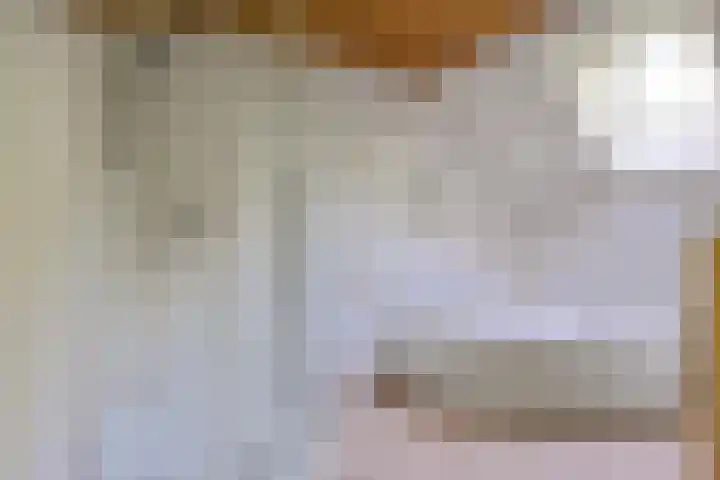 Wommelserweg 59 Tzum thumbnail 12