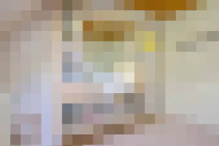 Wommelserweg 59 Tzum thumbnail 13