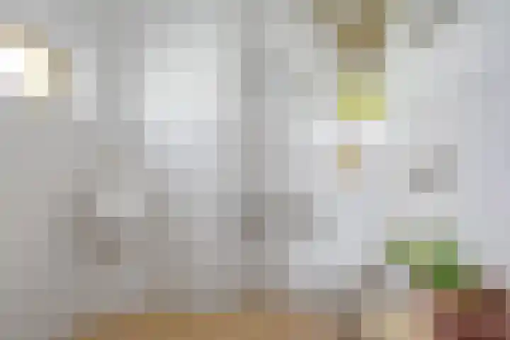Wommelserweg 59 Tzum thumbnail 15